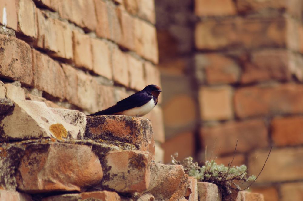 Photograph by Светлана Рыбалко