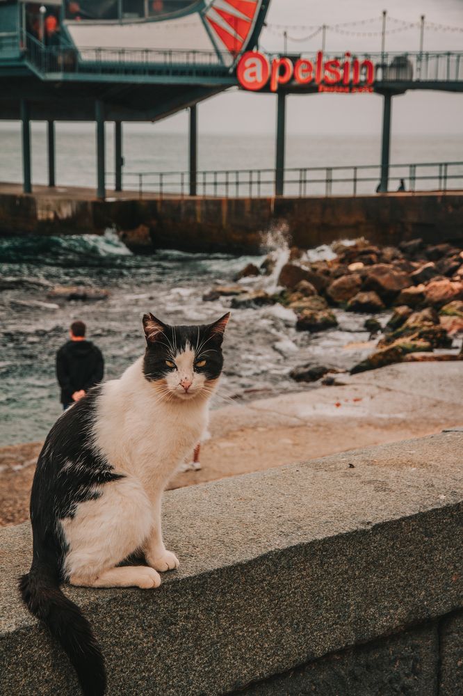 Photograph by Даниил Петруненко