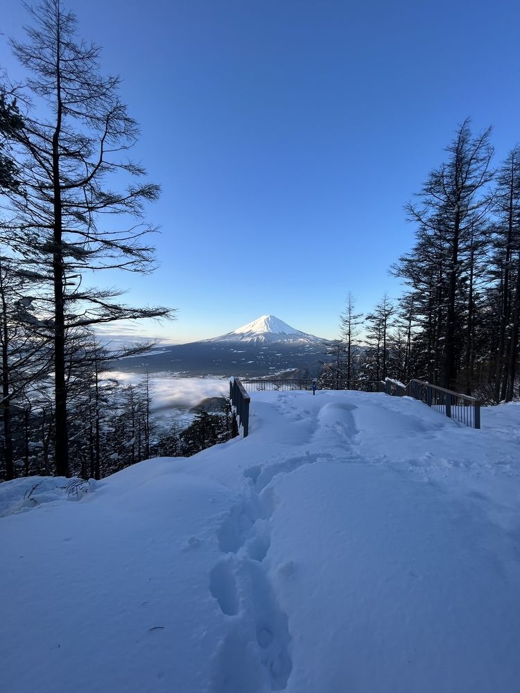 mt.fuji in winter