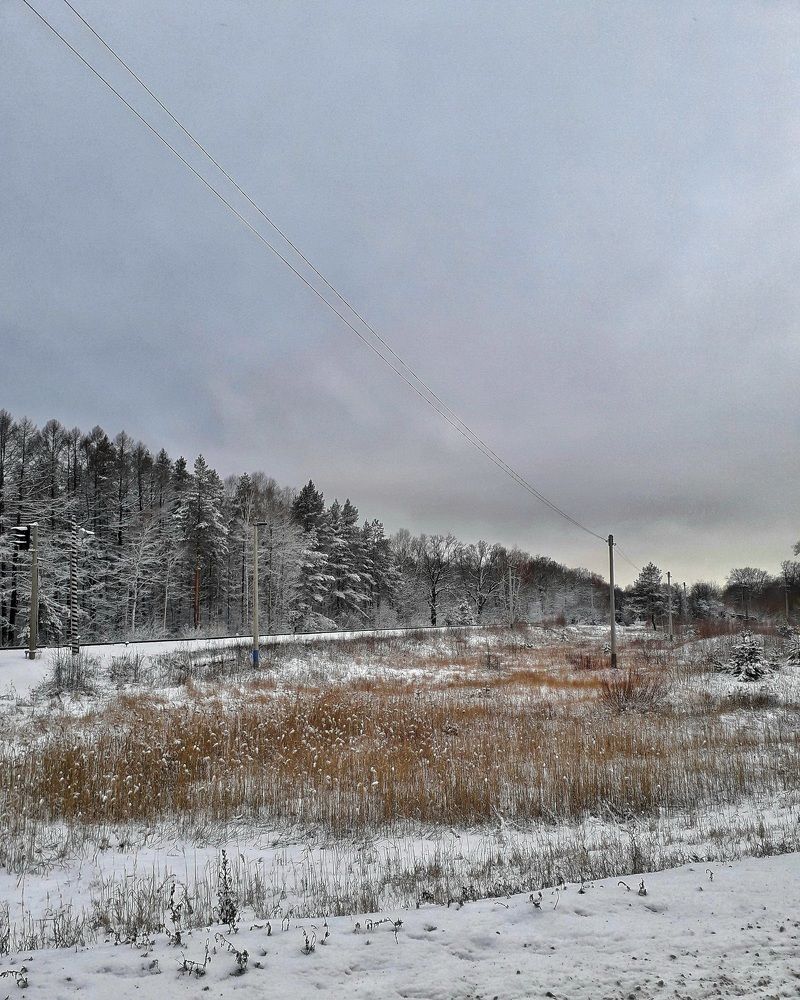 Photograph by Людмила