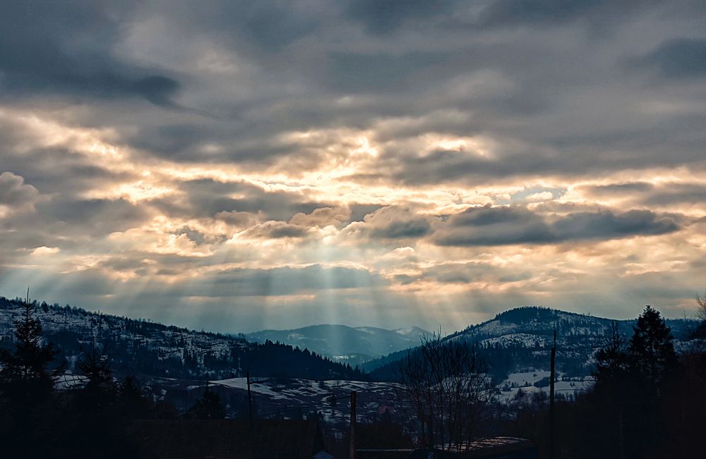 Photograph by Andrew Oksamyt