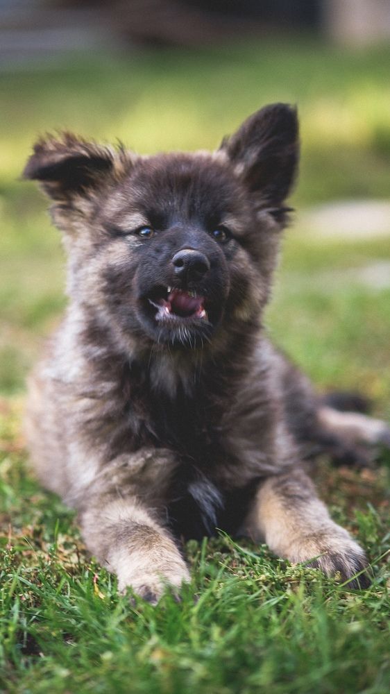 Photograph by Дмитрий Пропадалин