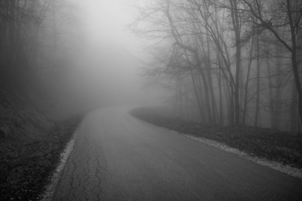 Photograph by Елена Миронова