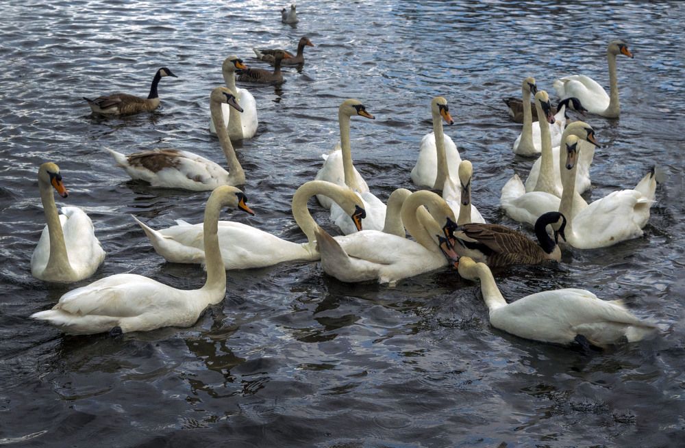 Photograph by Ирина Федорова