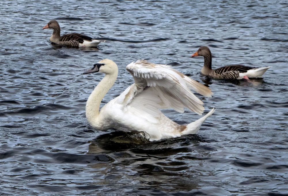 Photograph by Ирина Федорова