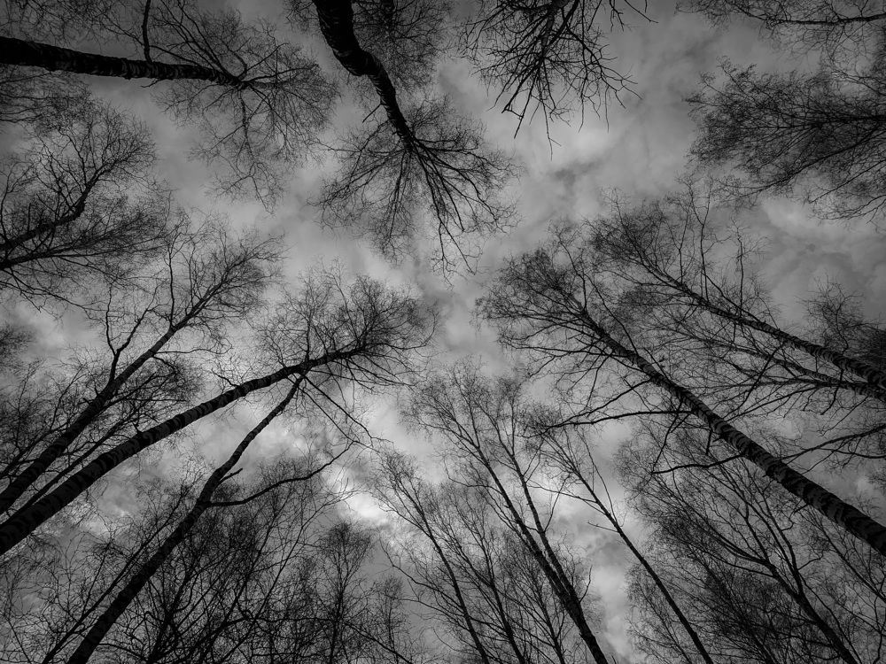 Photograph by Юлия Чиклеева