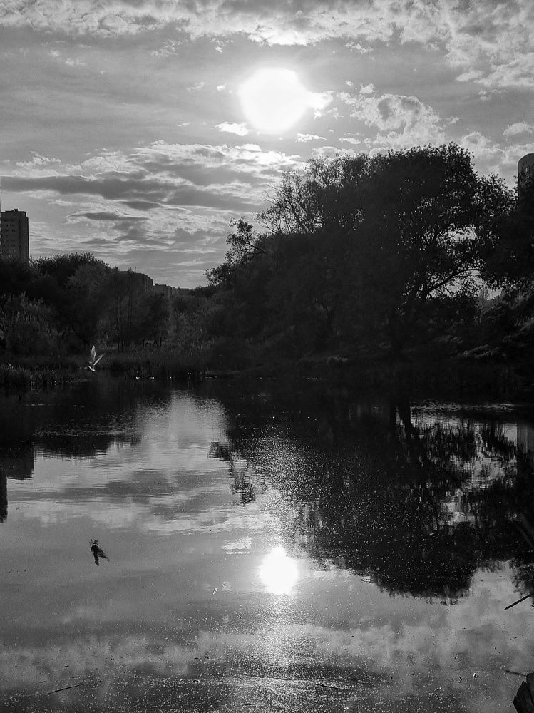 Photograph by Марина Ивасюта