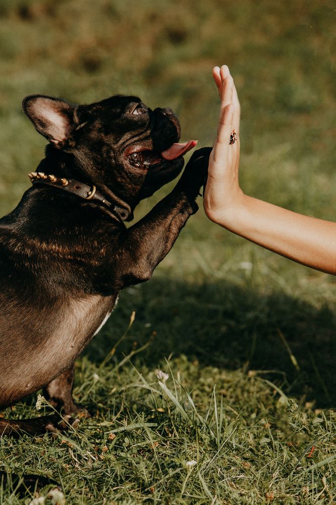 Photograph by Анна Дубина