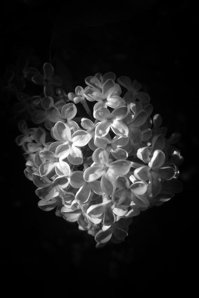 Photograph by Елена Щитова