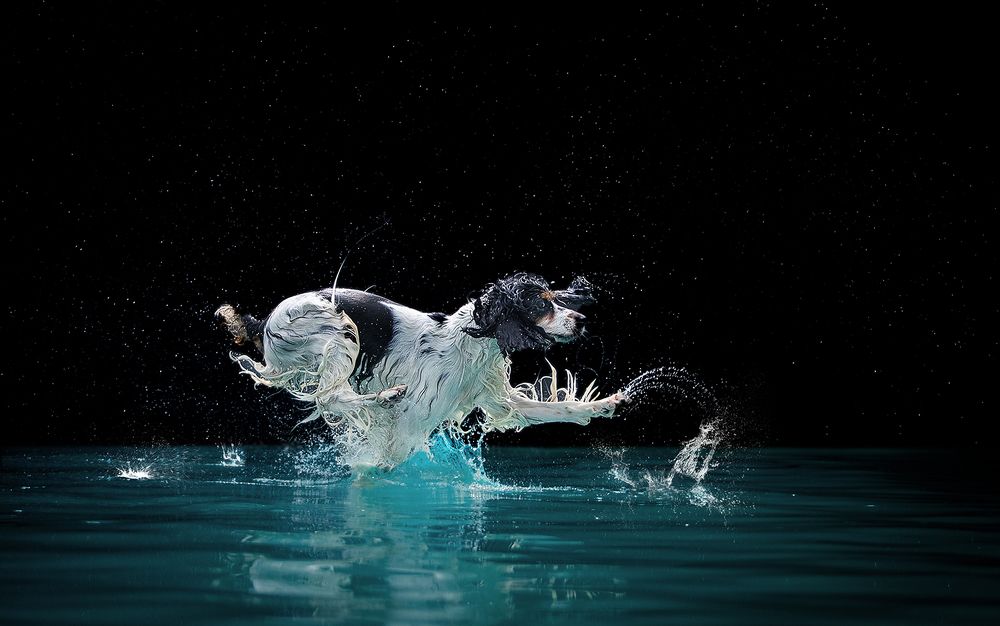 Photograph by Liu Lock