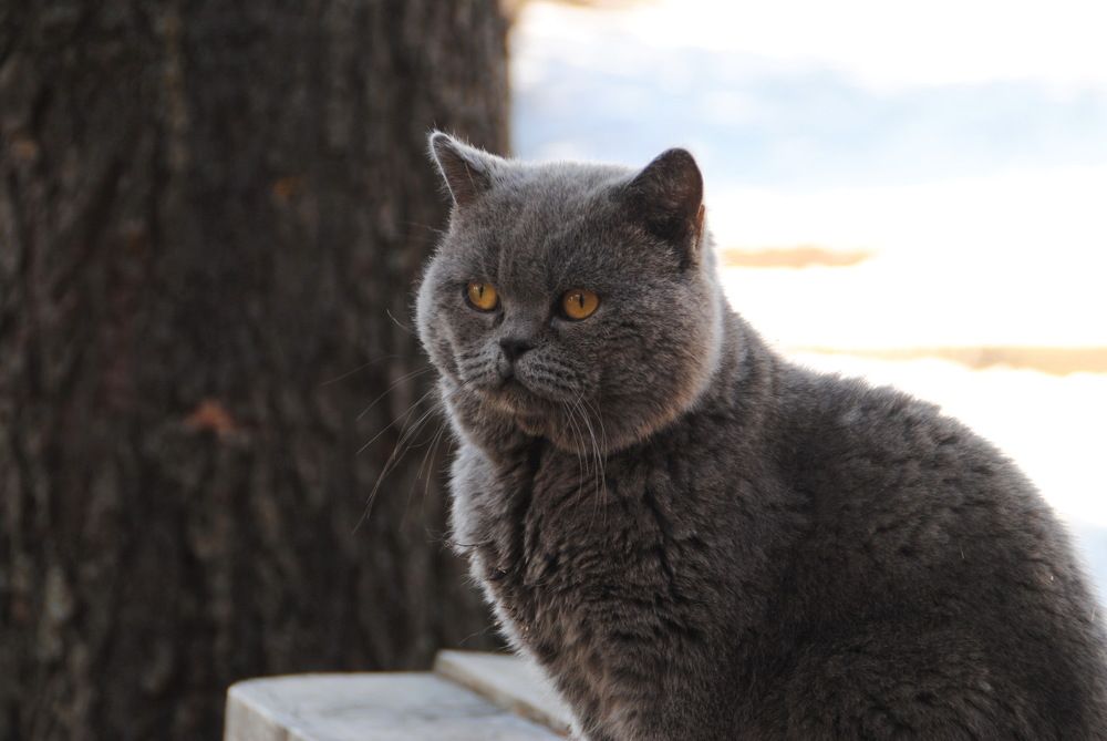 Photograph by Инна Сечко