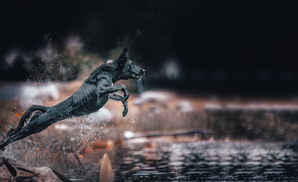 Photograph by Liu Lock