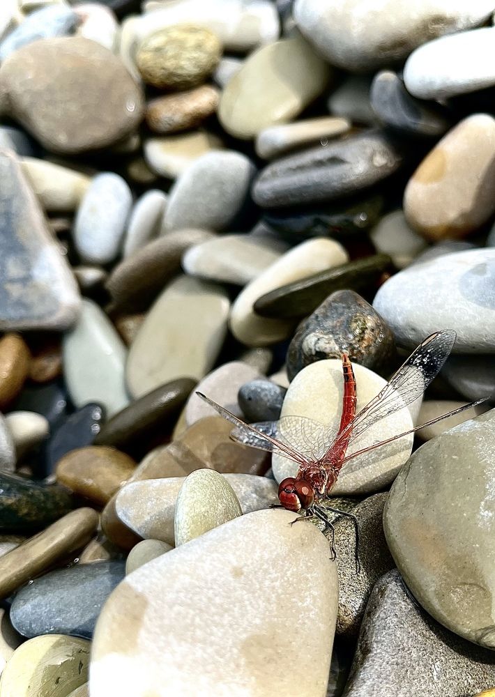 Photograph by Екатерина Чернышова