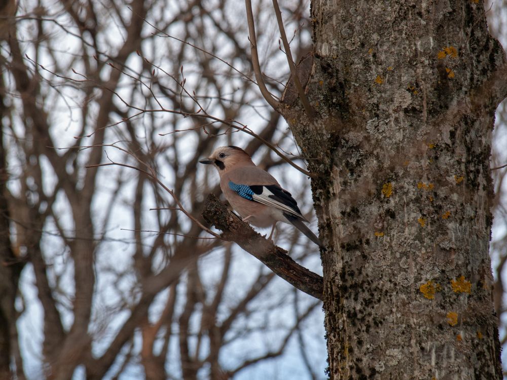 Photograph by Всеволод Маслов