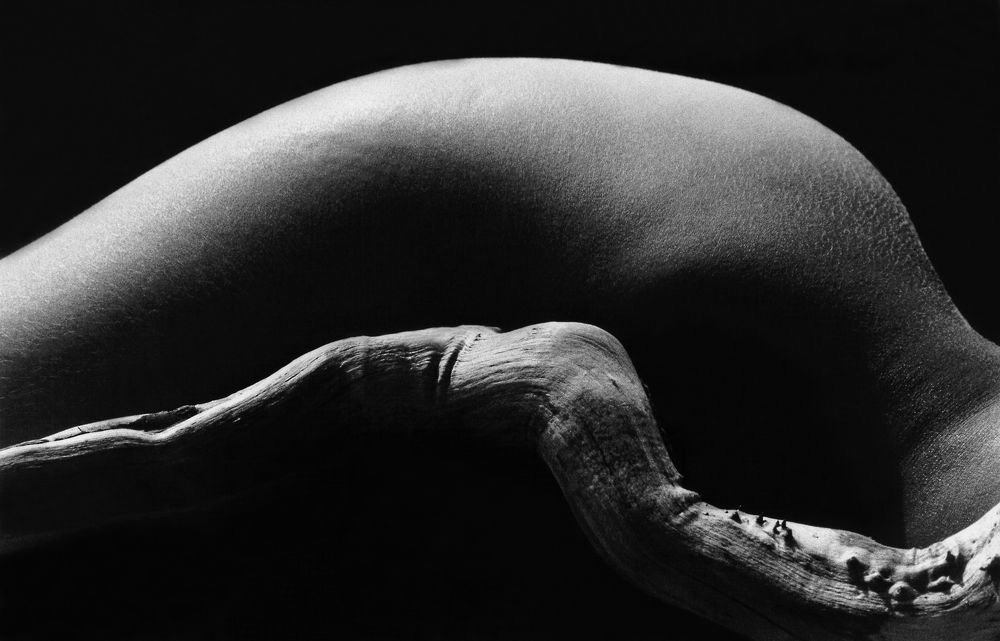 Фотография автора Михаил Пшеннов