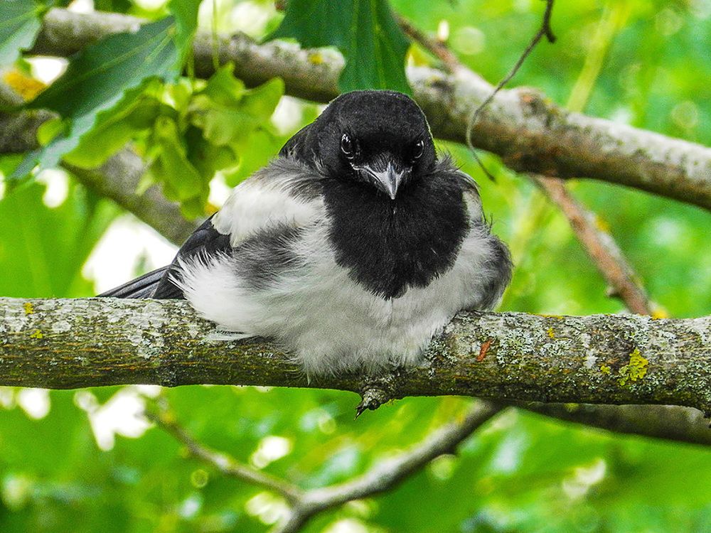 Photograph by Леонид Соболев