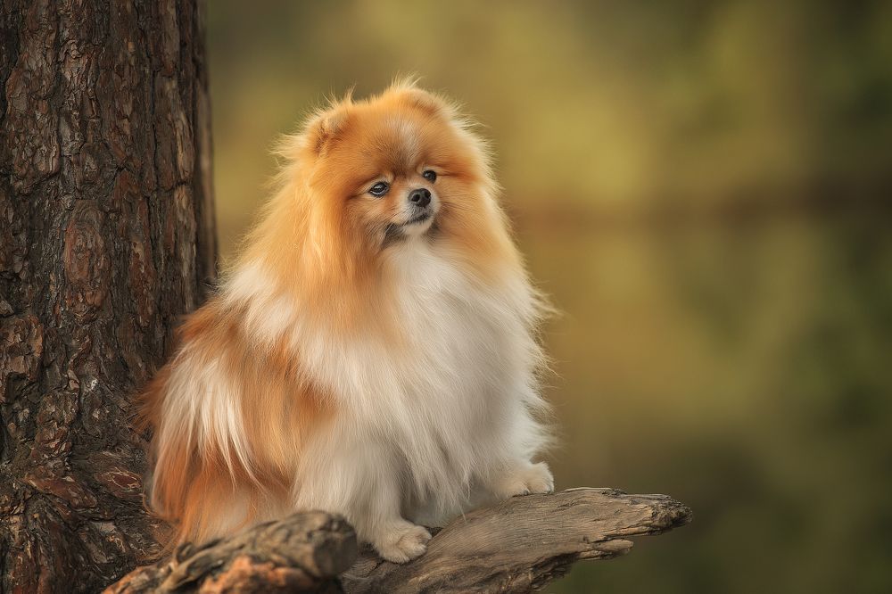 Photograph by Динара