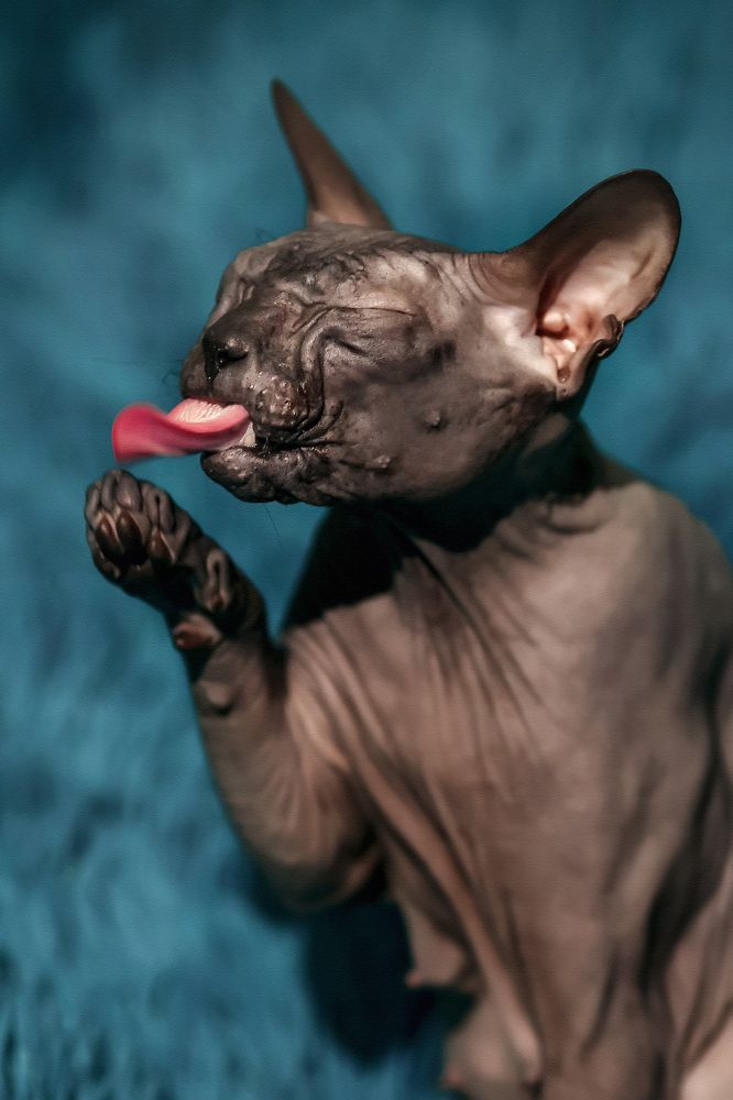 Photograph by Алина Рассохина