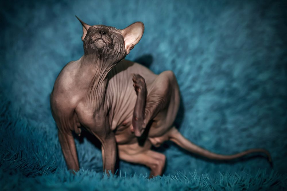 Photograph by Алина Рассохина