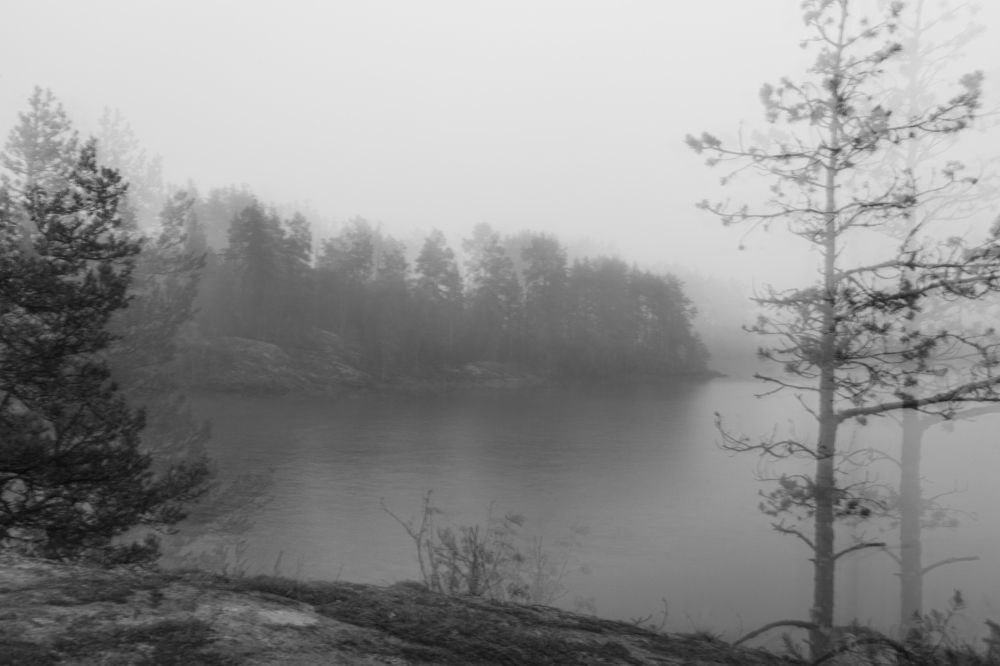 Photograph by Татьяна Глухова