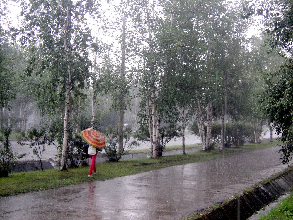 Ливень в городе