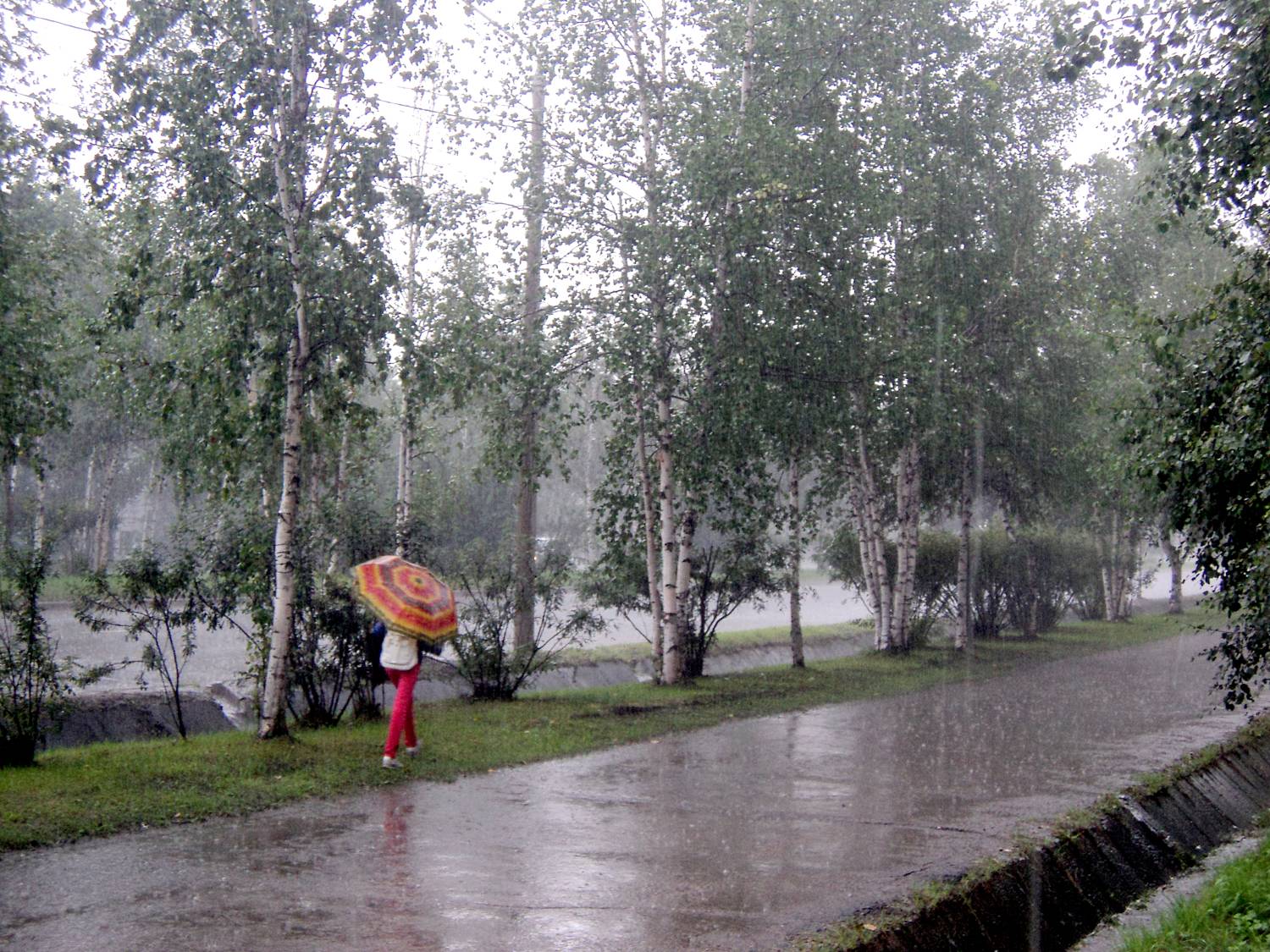Ливень в городе