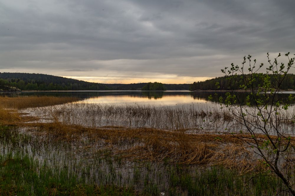 Photograph by Татьяна Глухова