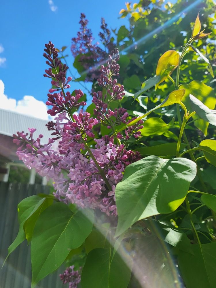 Photograph by Ирина Борисовна Кртина