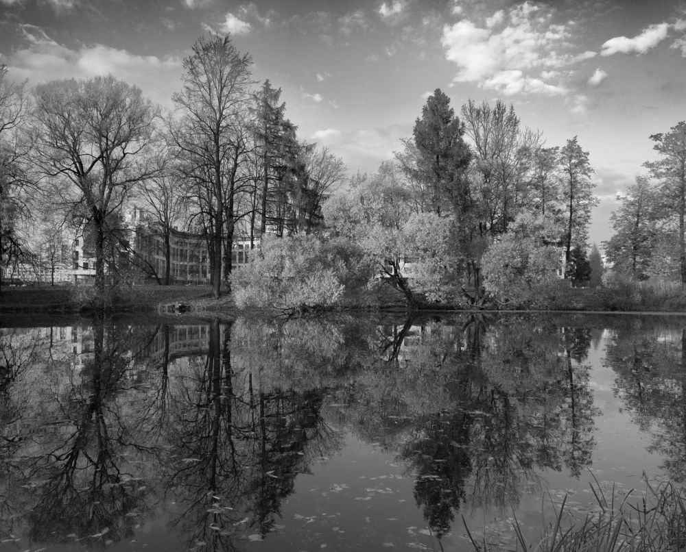 Photograph by Chic.chiquitita