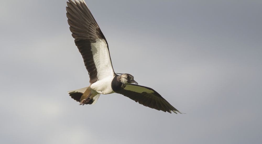 Photograph by Алексей Захаренко