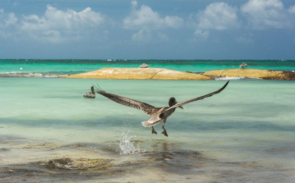 Photograph by Александр Халимов