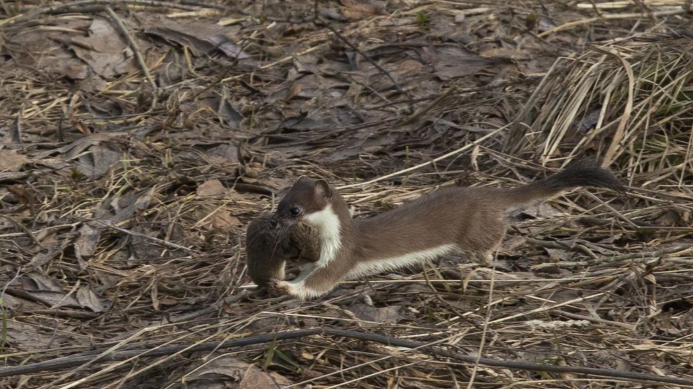 Photograph by Алексей Захаренко