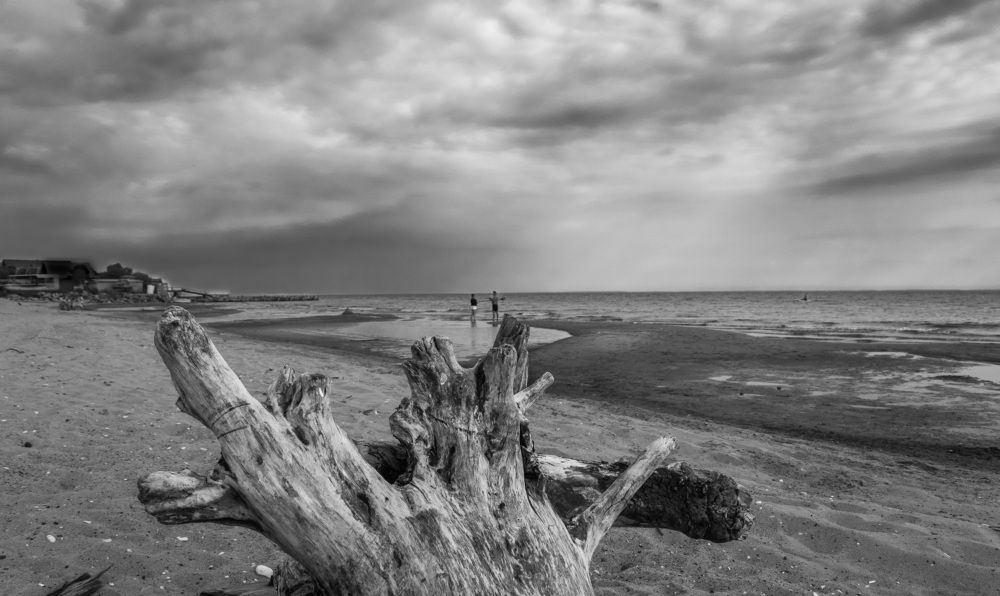 Photograph by Александр Халимов