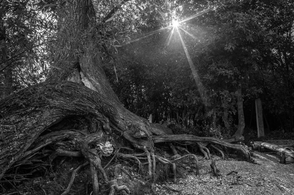 Photograph by Александр Халимов