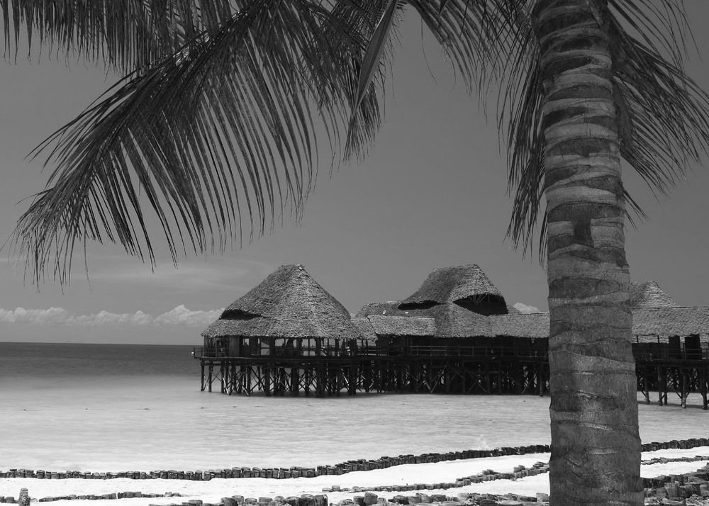 Photograph by Татьяна Мазепова