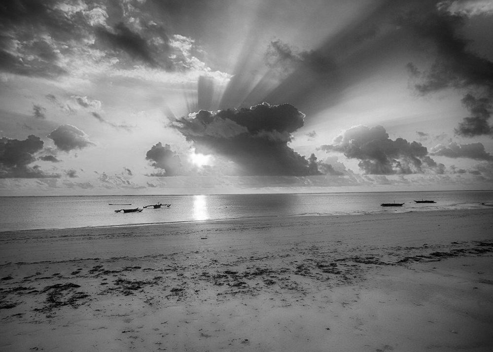 Фотография автора Татьяна Мазепова