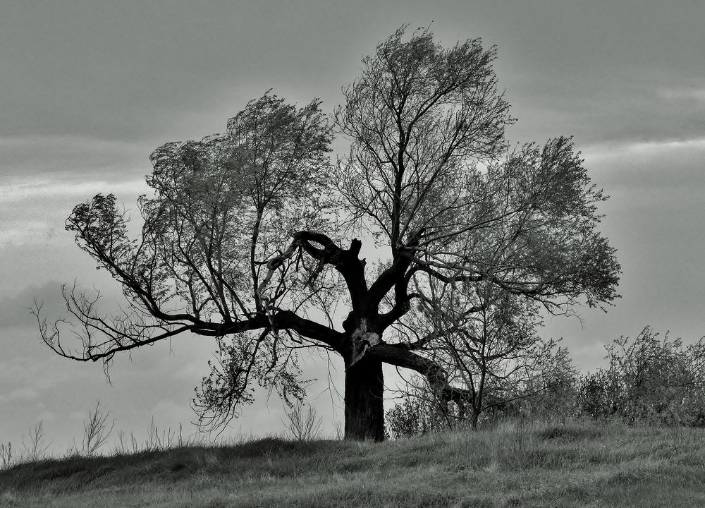 Photograph by Виктор Карпухин