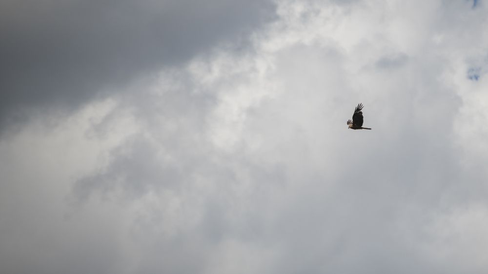 Photograph by Дмитрий Кочетков