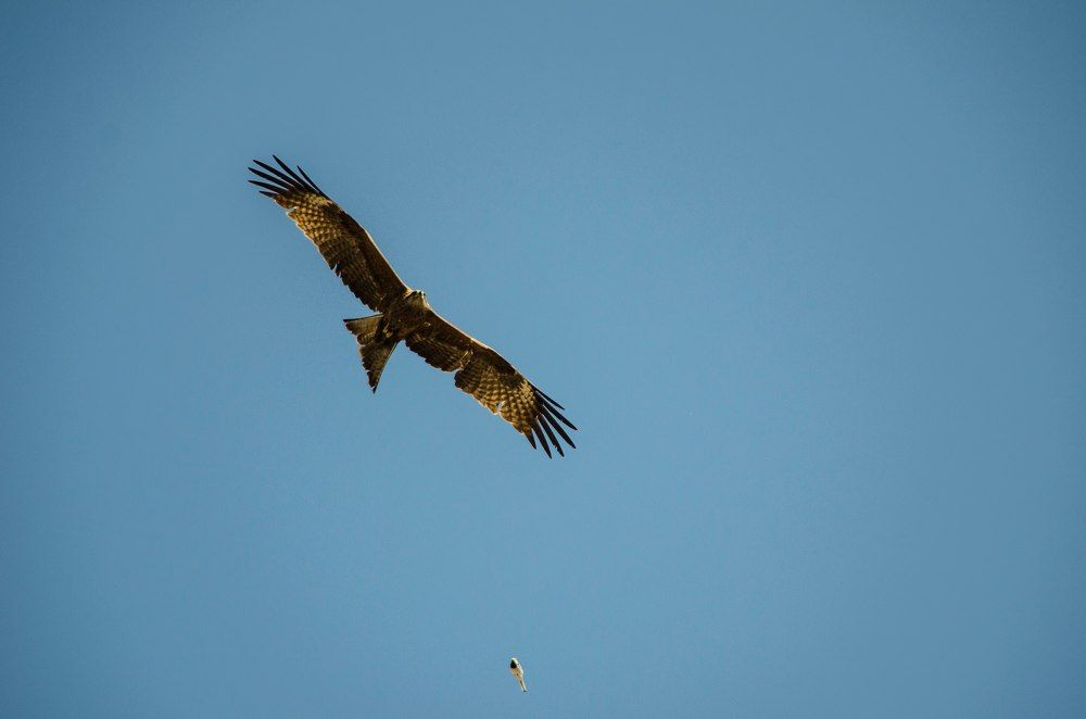 Photograph by Дмитрий Кочетков