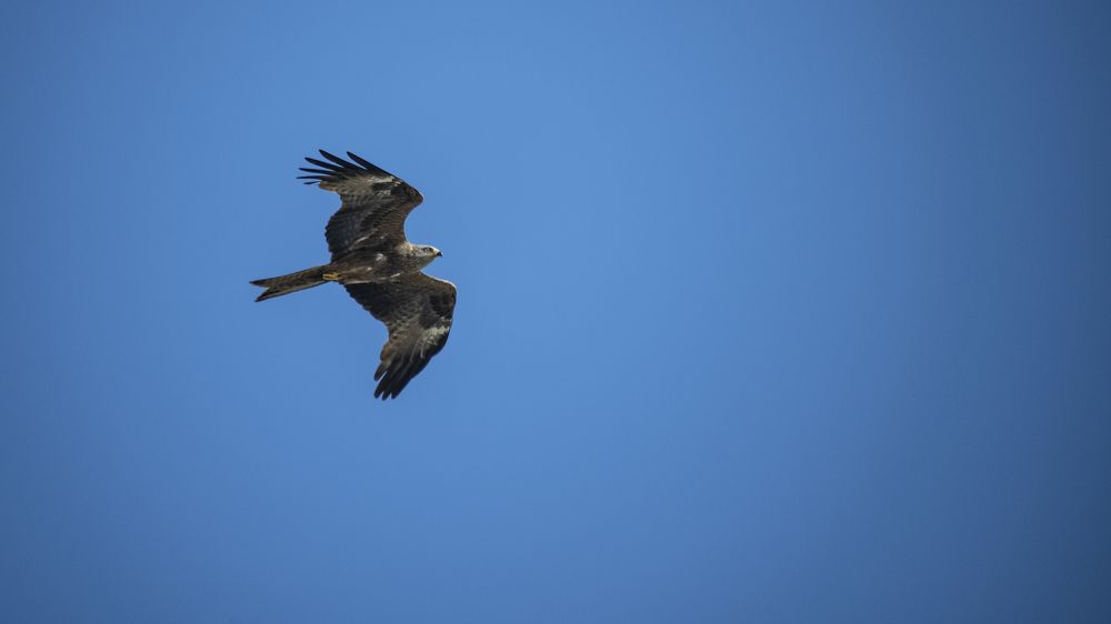 Photograph by Дмитрий Кочетков