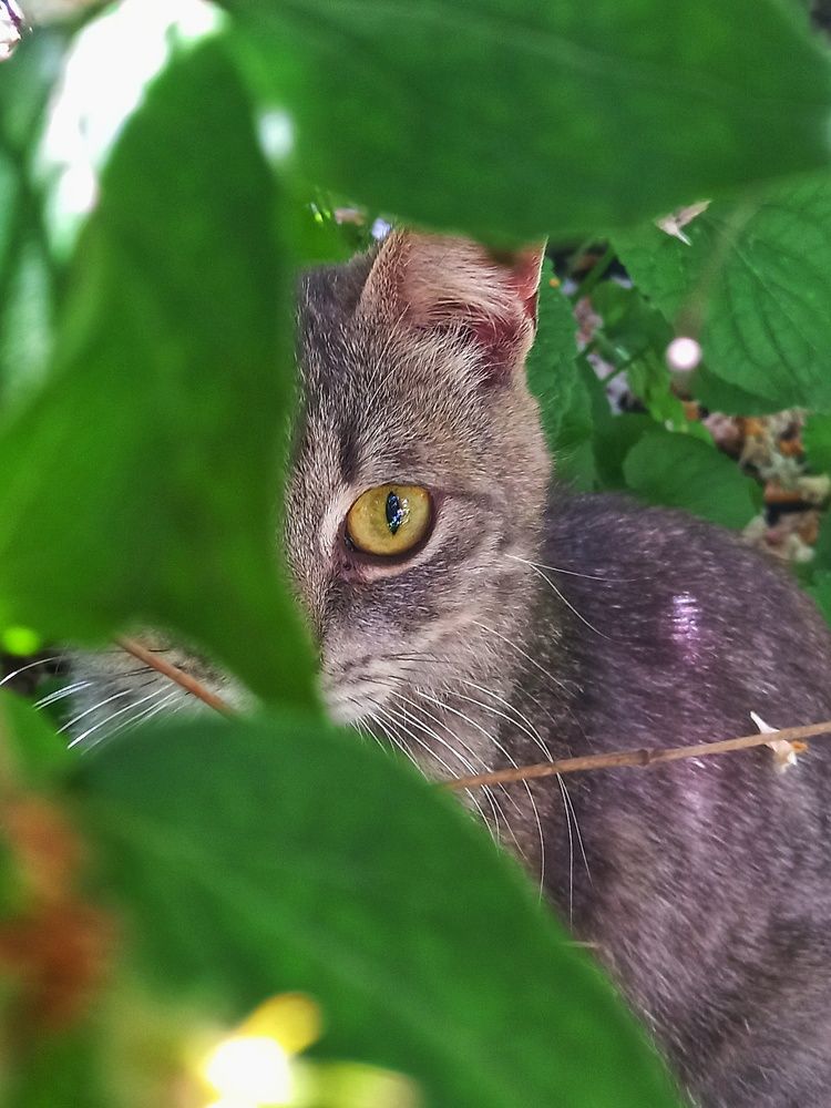 Photograph by Наталья