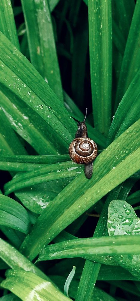 Photograph by Vera Nefedova