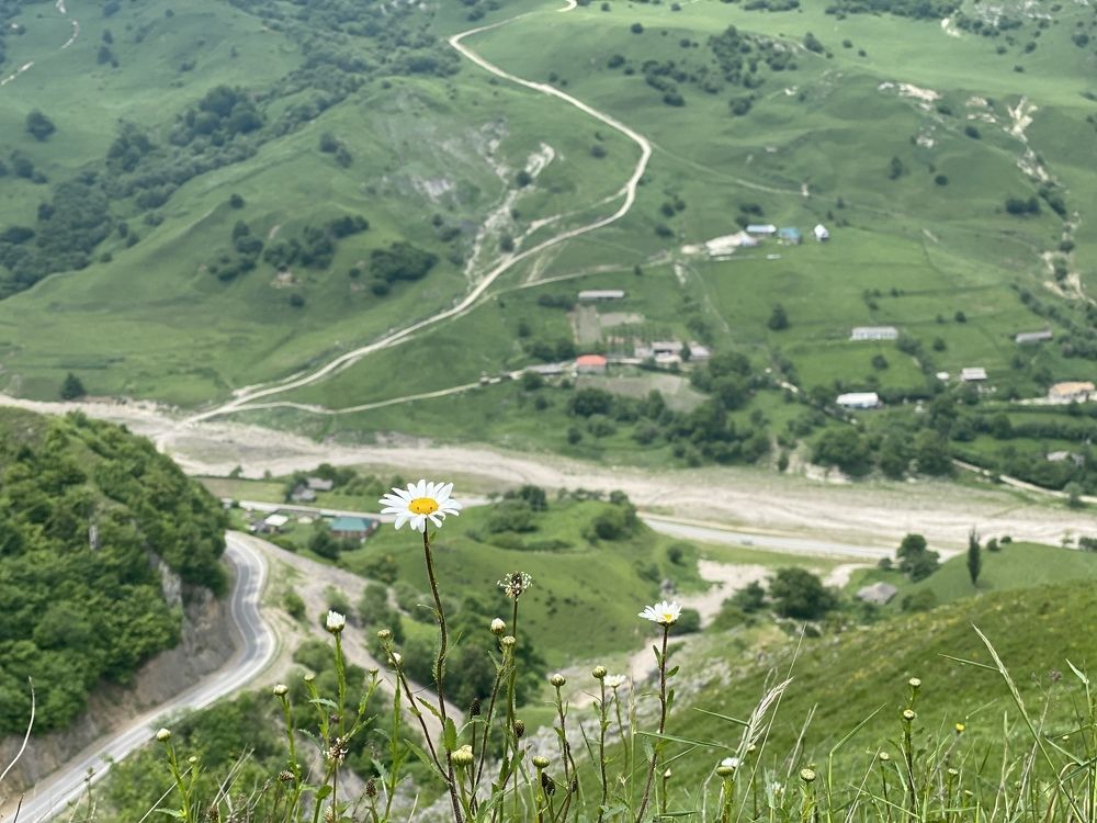 Фотография автора Ольга Горюнова