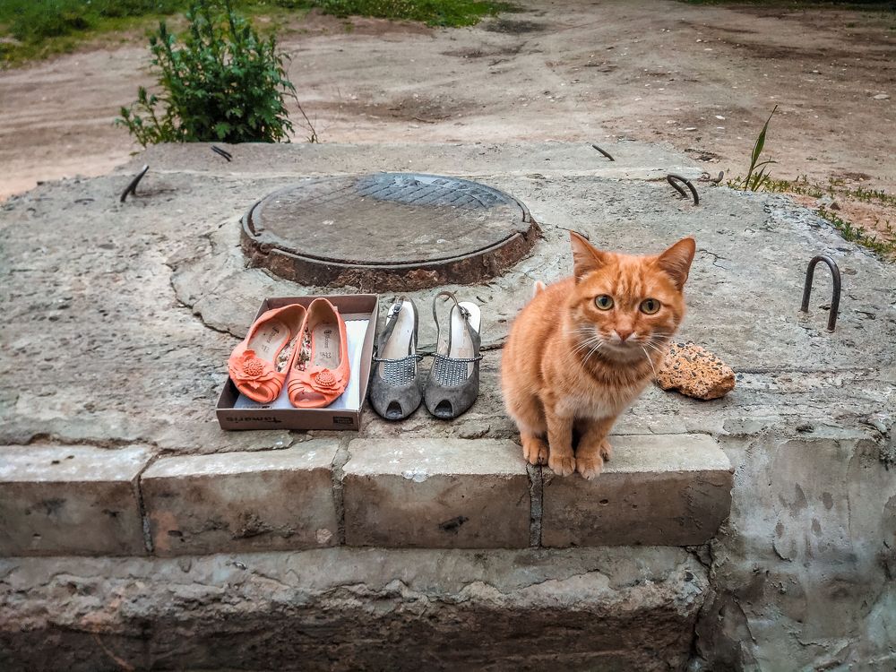 Сапоги уже продал