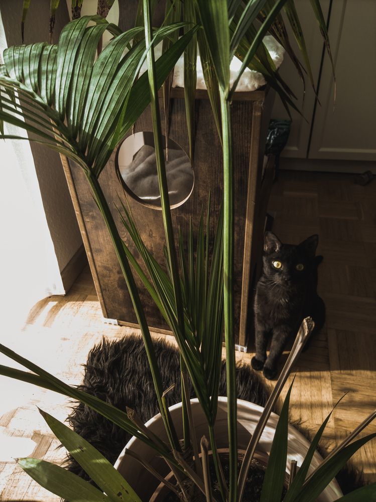 Photograph by Анна Купенко