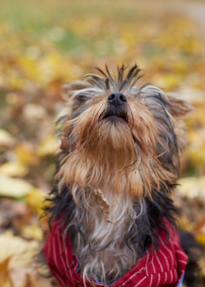 Photograph by Дилара Муллагалиева