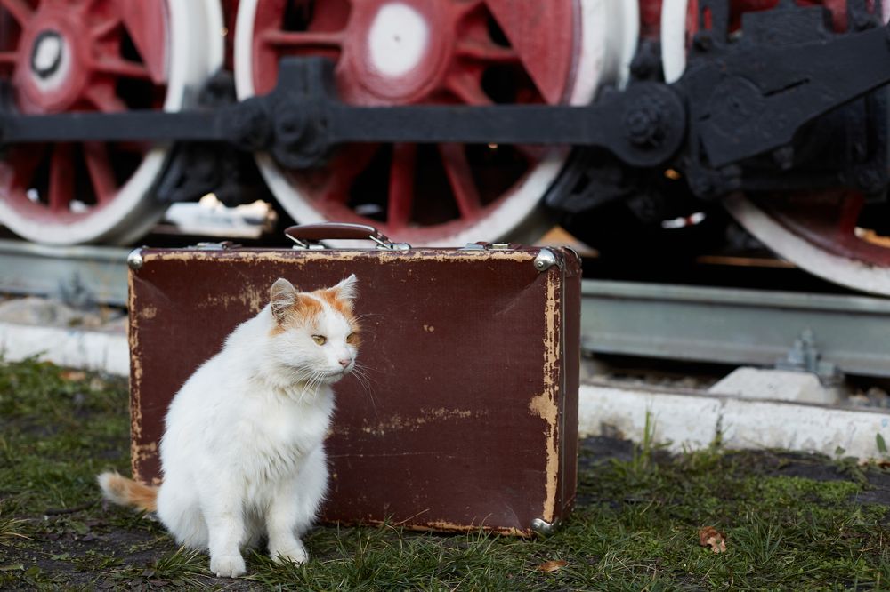 Photograph by Дилара Муллагалиева