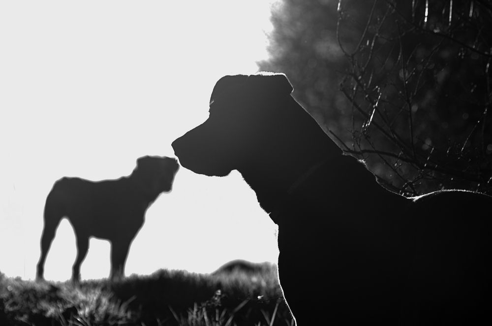 Photograph by Adaya Iglesias