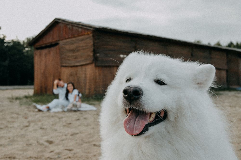 Photograph by Анна Дубина