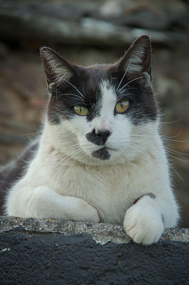 Photograph by Adaya Iglesias